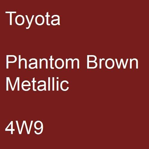 Toyota, Phantom Brown Metallic, 4W9.